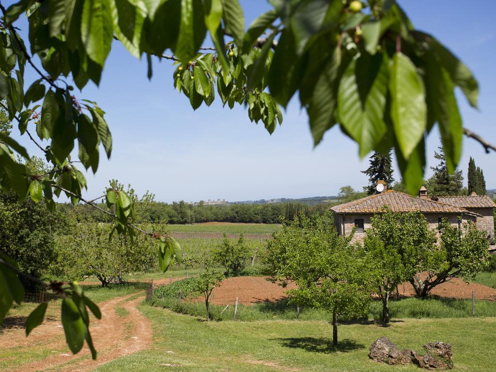 Novelleto Villa Monteriggioni Bagian luar foto