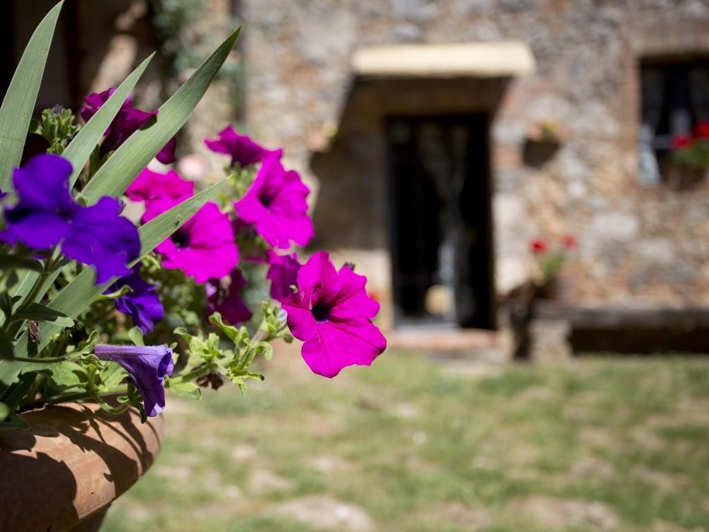 Novelleto Villa Monteriggioni Bagian luar foto