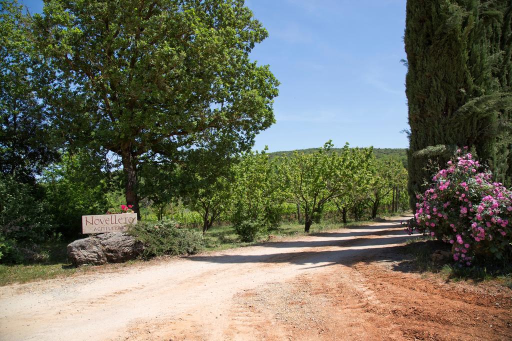 Novelleto Villa Monteriggioni Bagian luar foto
